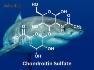 Chondroitin Sulfate là gì ?